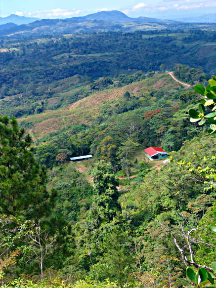 Distant View