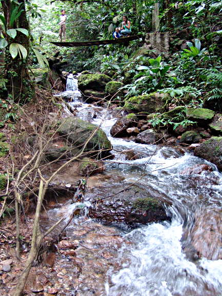 Bridge n Stream