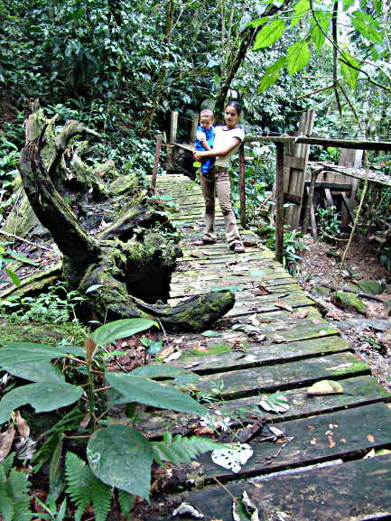 Rustic Bridge