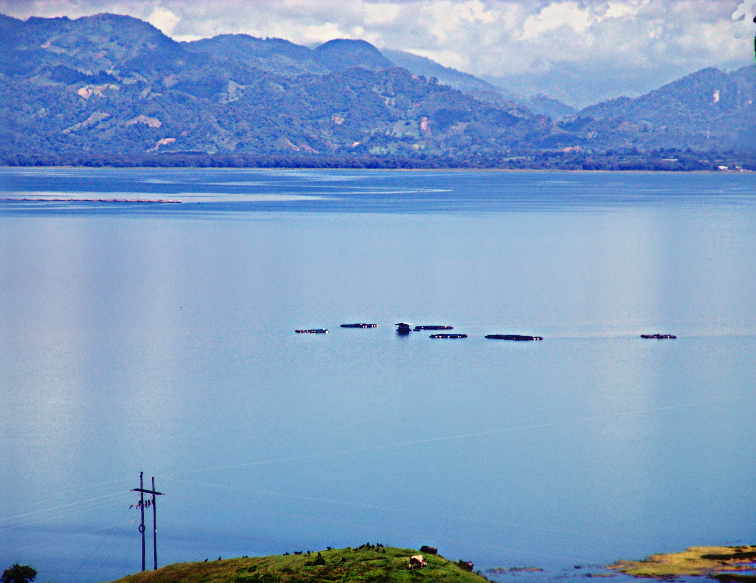LakeP1-98