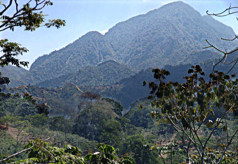 Mountains 4Sale